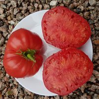 Minusinskij Urozajnyj 